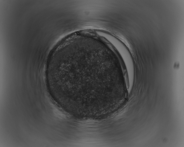 X0000089430387200707131849