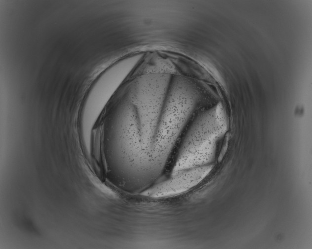 X0000089430389200707131849