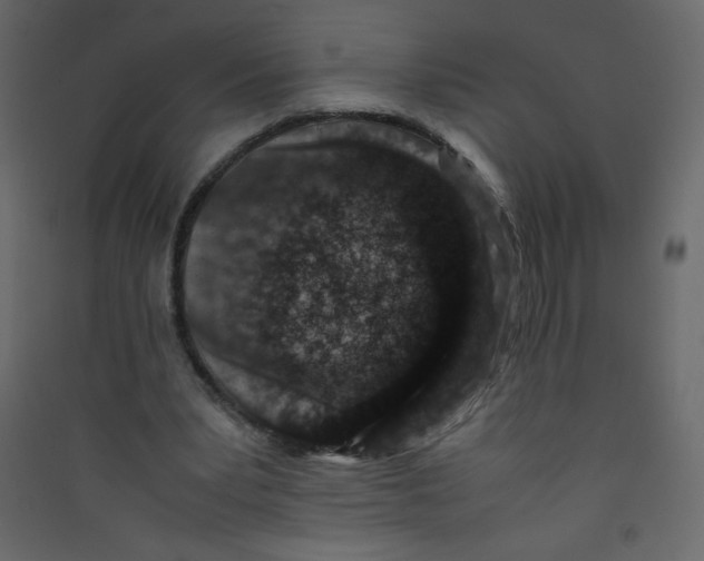X0000089430391200707131849