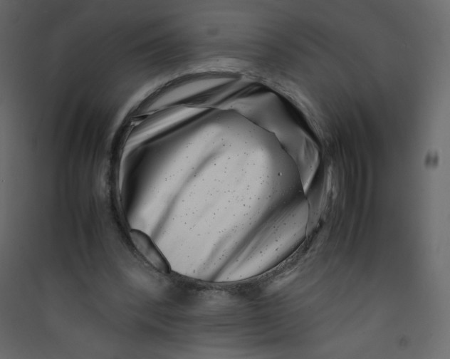 X0000089430392200707131849