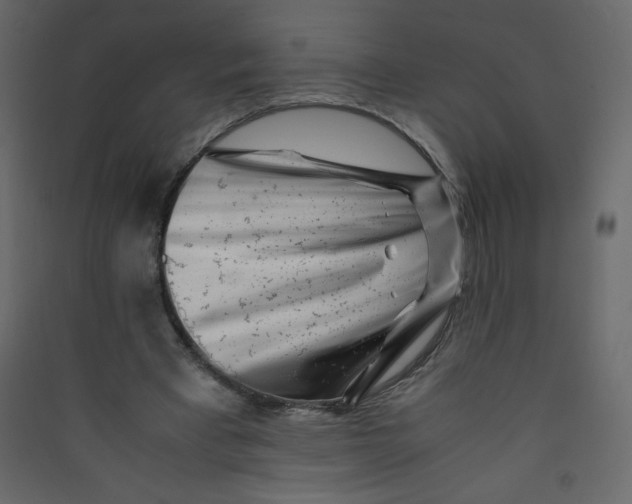 X0000089430393200707131849