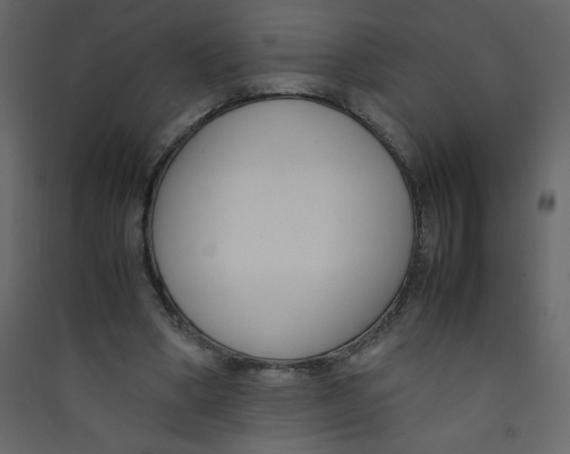 X0000089430394200707131849