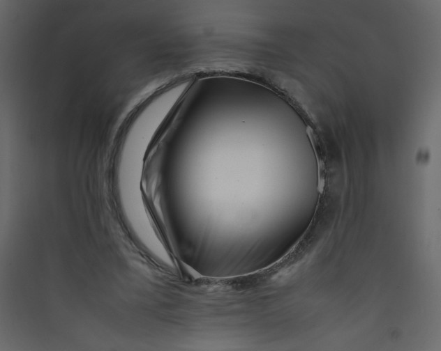 X0000089430395200707131849