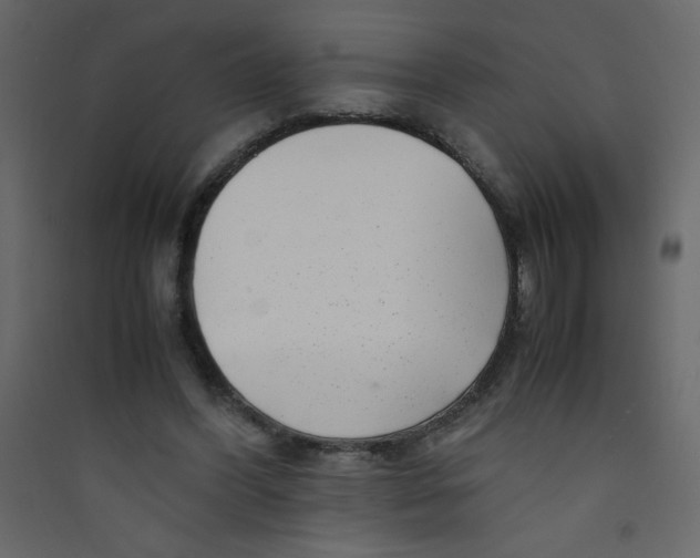 X0000089430396200707131849