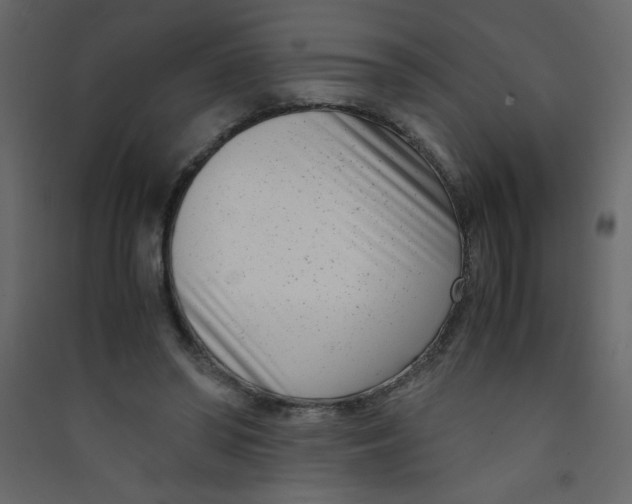 X0000089430398200707131849