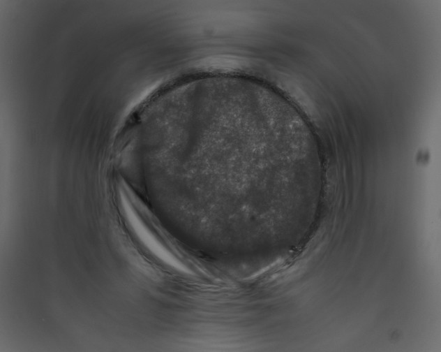 X0000089430399200707131849