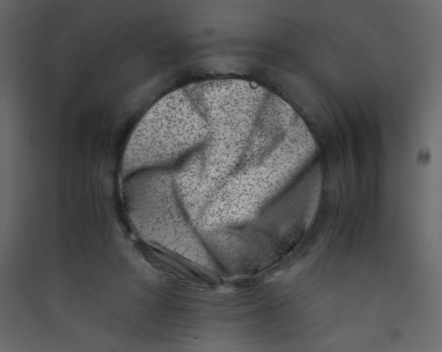 X0000089430402200707131849