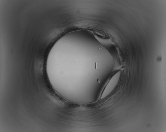 X0000089430404200707131849