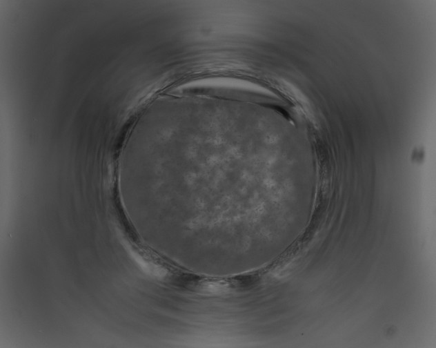 X0000089430405200707131849
