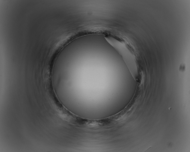 X0000089430407200707131849