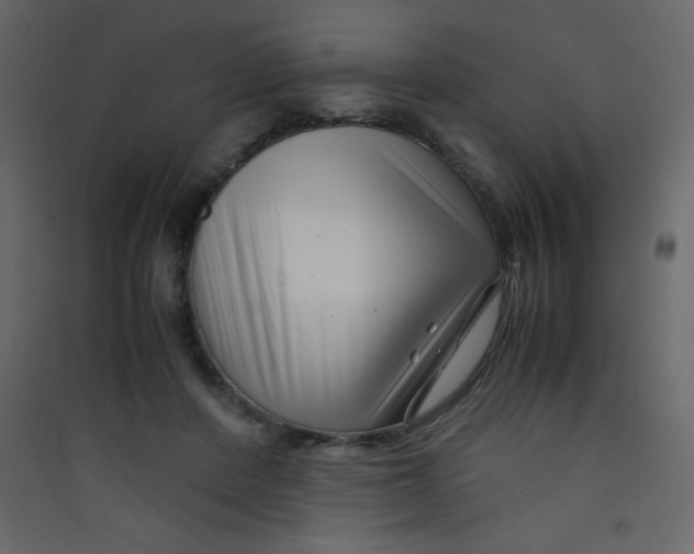 X0000089430408200707131849