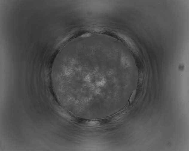 X0000089430409200707131849