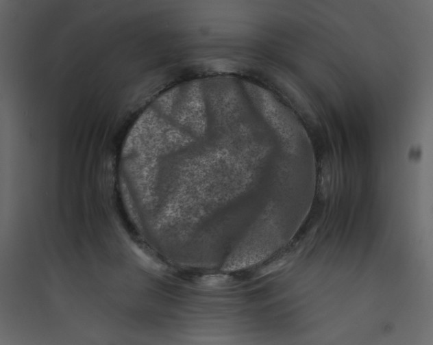X0000089430410200707131848