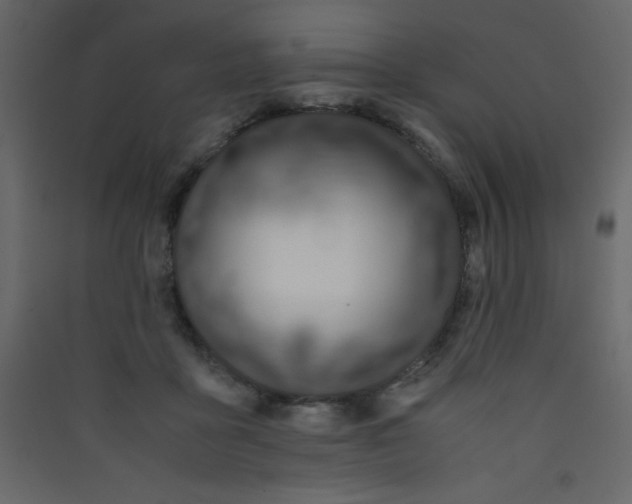X0000089430411200707131848