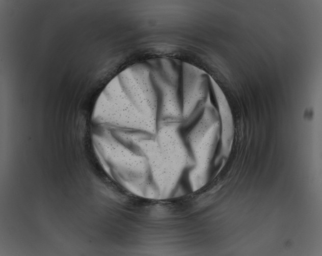 X0000089430412200707131848