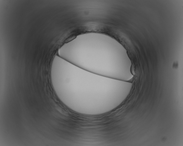 X0000089430413200707131848