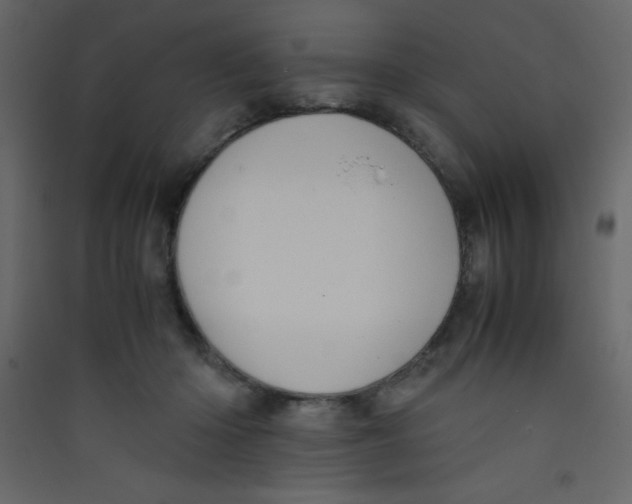 X0000089430414200707131848