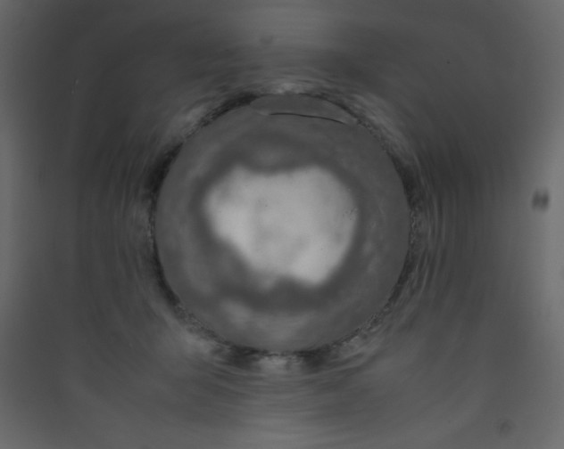 X0000089430415200707131848