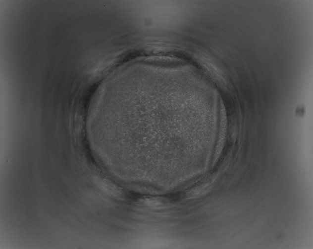 X0000089430417200707131848