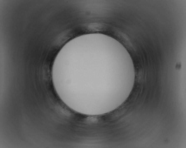 X0000089430418200707131848
