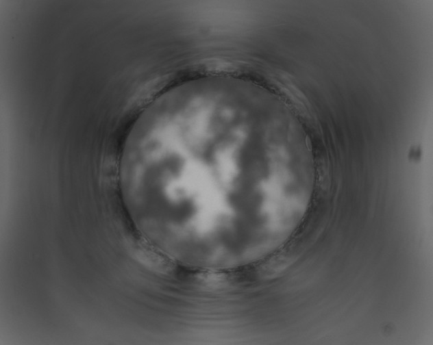 X0000089430419200707131848