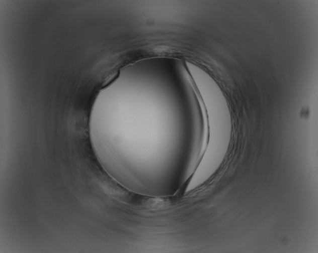 X0000089430421200707131848