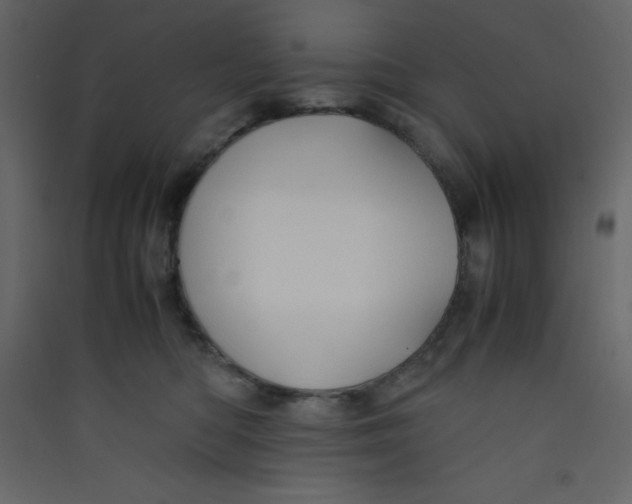 X0000089430422200707131848