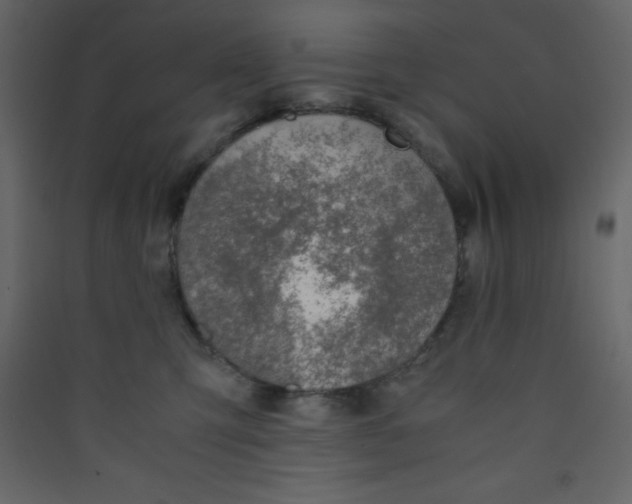 X0000089430423200707131848