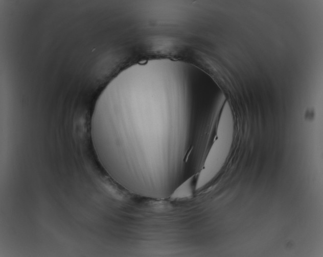 X0000089430424200707131848