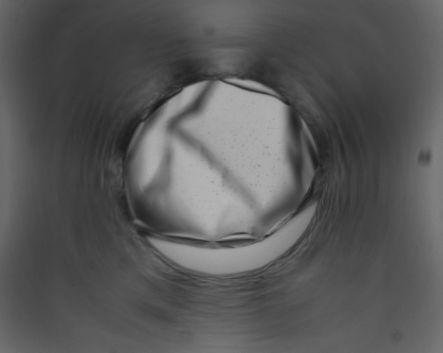 X0000089430425200707131848