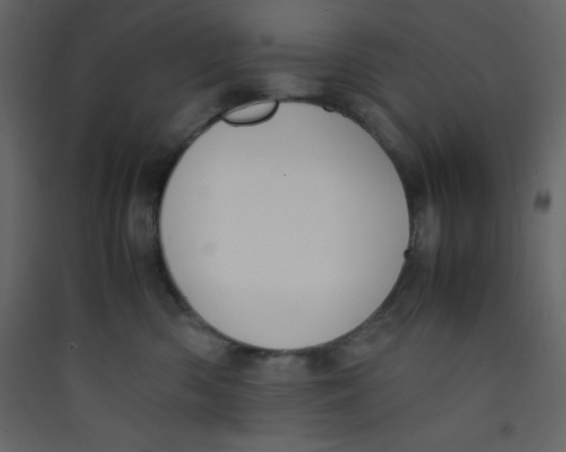 X0000089430426200707131848