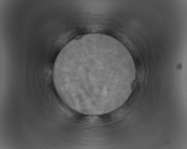 X0000089430427200707131848