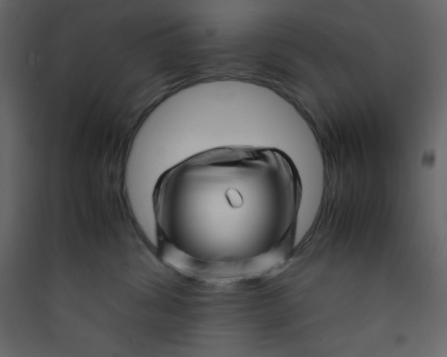 X0000089430428200707131848