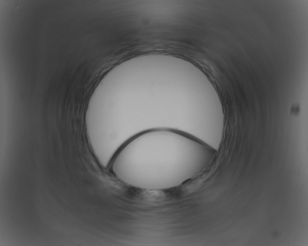 X0000089430429200707131848