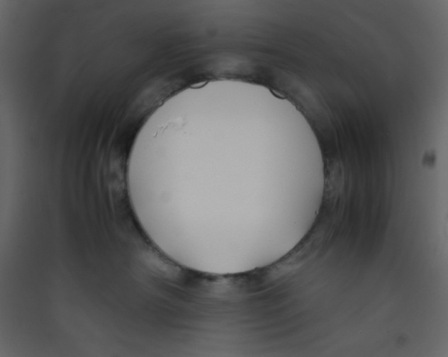 X0000089430430200707131848