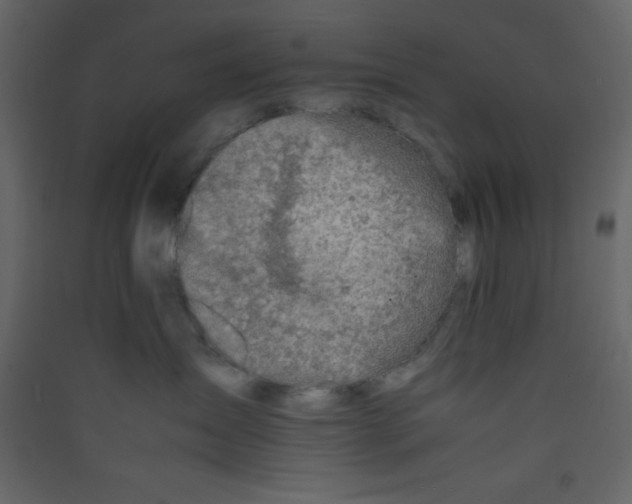 X0000089430431200707131848