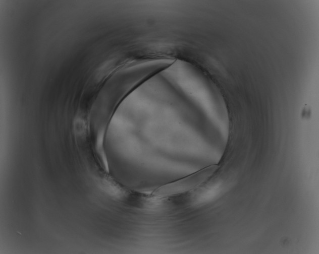 X0000089430432200707131848