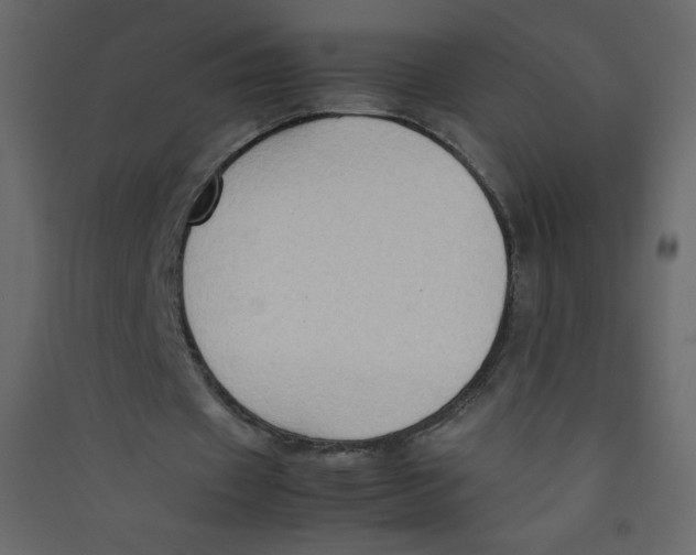 X0000089430433200707131847