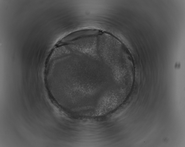 X0000089430434200707131847