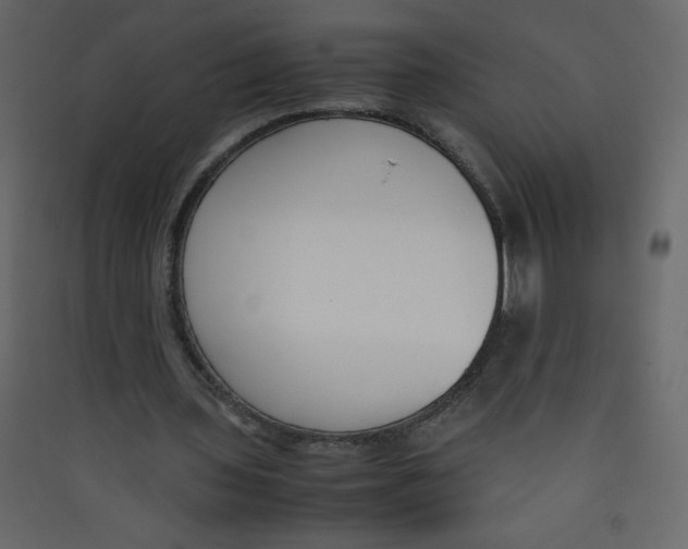 X0000089430435200707131847