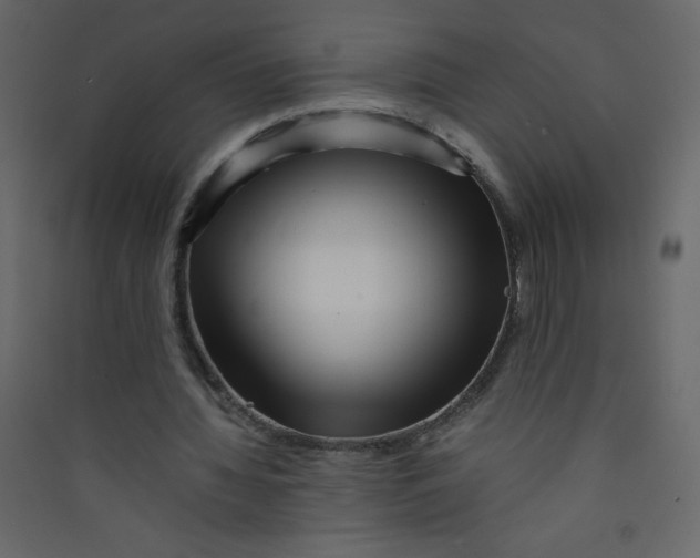 X0000089430436200707131847
