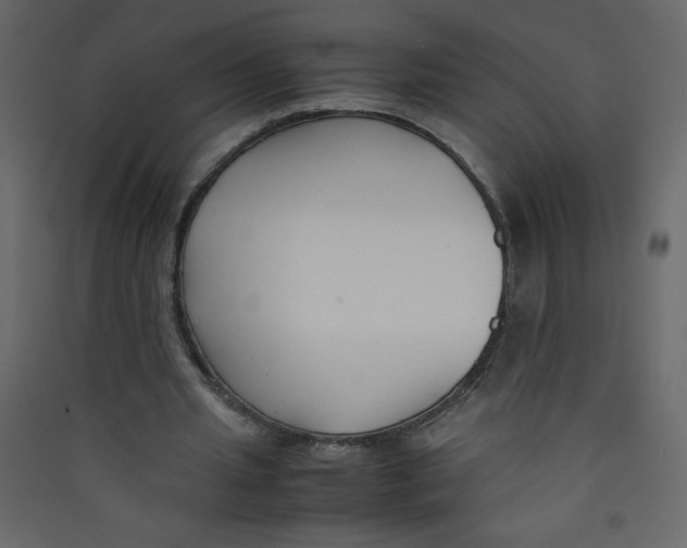 X0000089430437200707131847