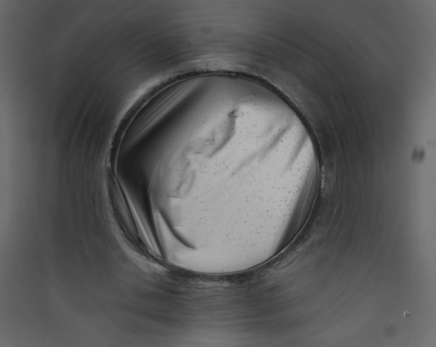 X0000089430438200707131848