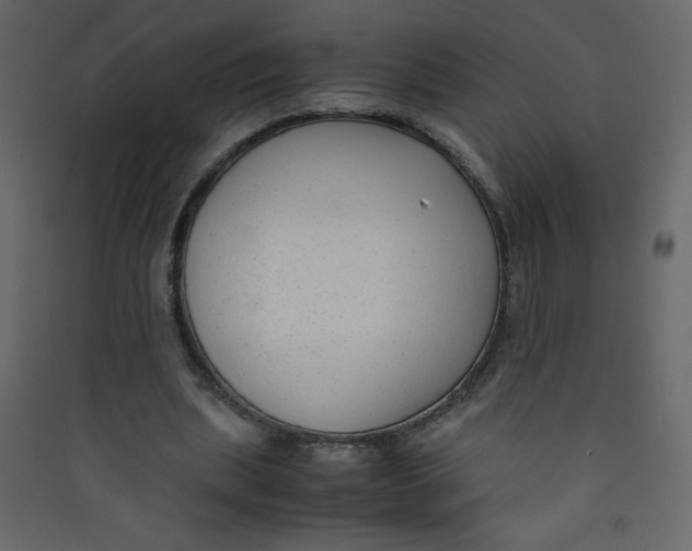 X0000089430439200707131848