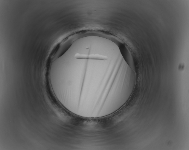 X0000089430440200707131848