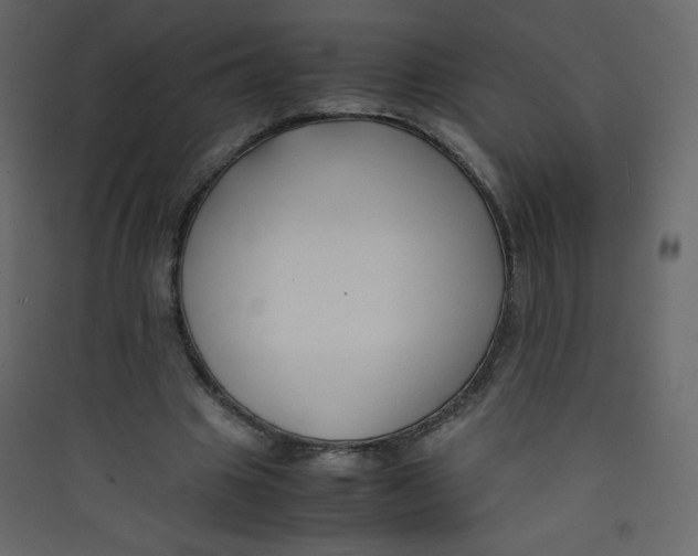 X0000089430441200707131848