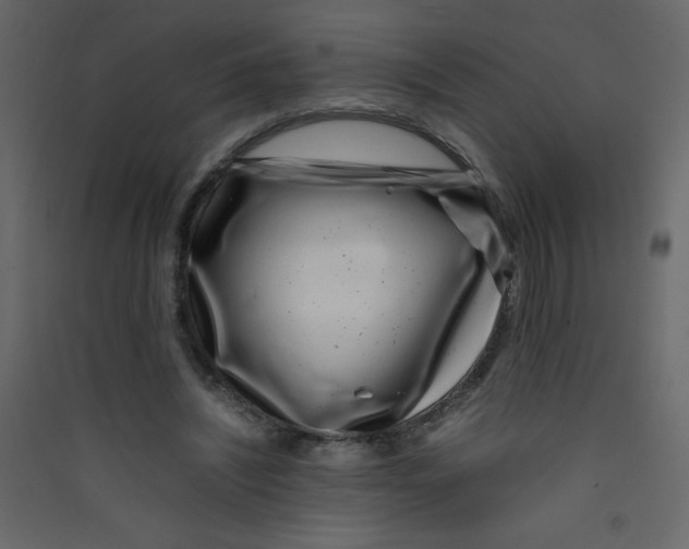 X0000089430444200707131848