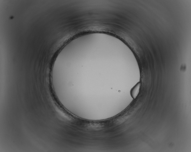 X0000089430445200707131848