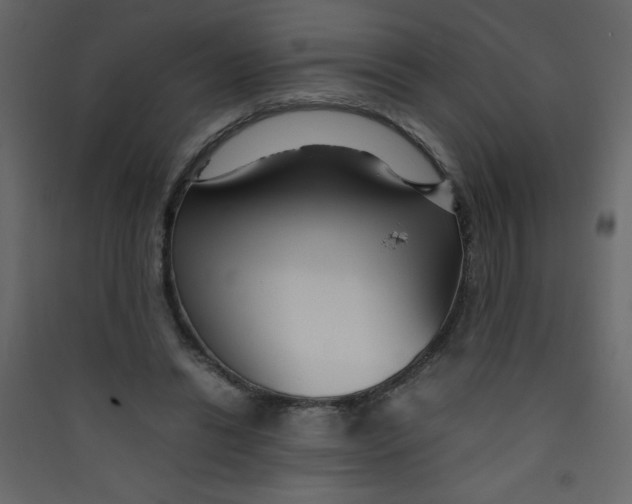X0000089430446200707131848