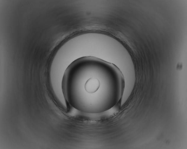 X0000089430448200707131848